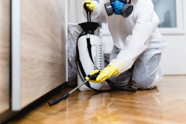 Pest Prevention Services in Casey, IL