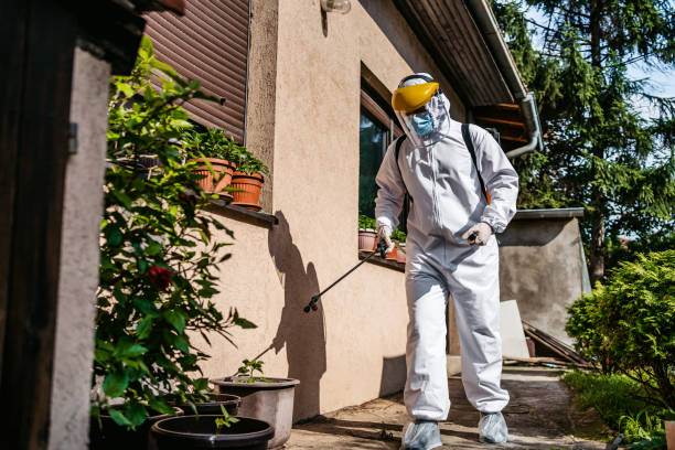 Best Pest Control Near Me  in Casey, IL