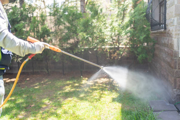 Trusted Casey, IL Pest Control Experts
