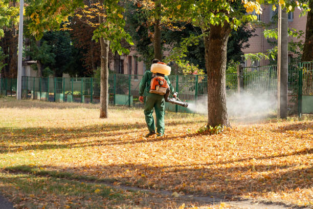 Best Exterminator Services  in Casey, IL