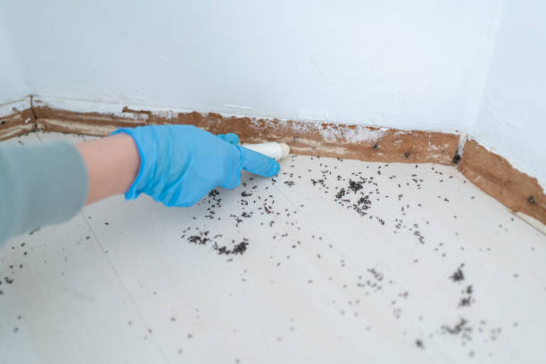Best Best Pest Control Companies  in Casey, IL