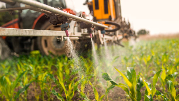 Best Commercial Pest Control Services  in Casey, IL
